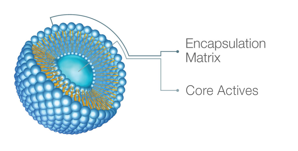 Atrium Active Ingredients Nano-Encapsulation