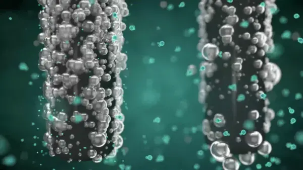 Active Ingredients in WTD! DUO PRO Whitening Strips