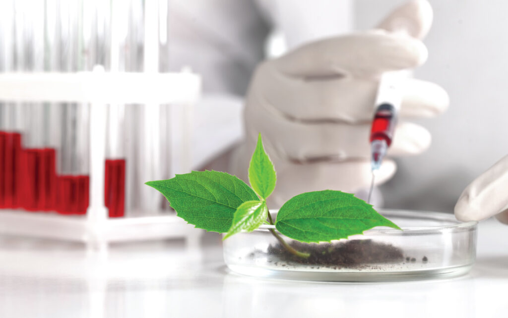 Organic Ingredients used atrium scientific