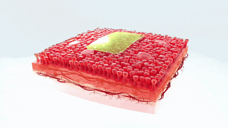 Atrium Scientific Group HarmonyFilm orally dissolving film (ODF) dissolving rapidly
on tongue demonstrating fast sublingual absorption for dietary supplement delivery