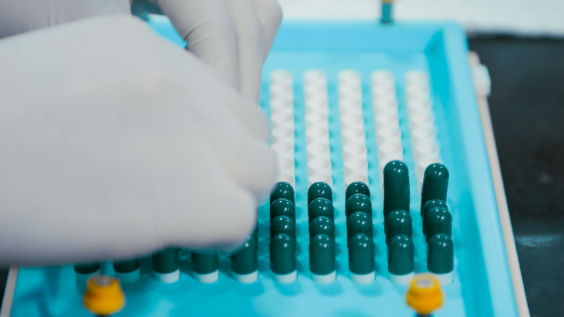 Close-up view of gloved hands arranging capsules on a sterile tray, indicative of pharmaceutical practices. — Atrium Scientific Group