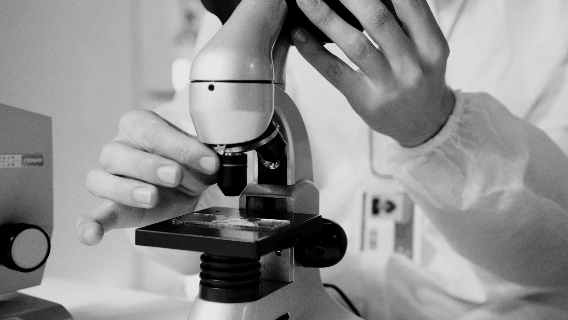 supplement quality inspection certificate of analysis review