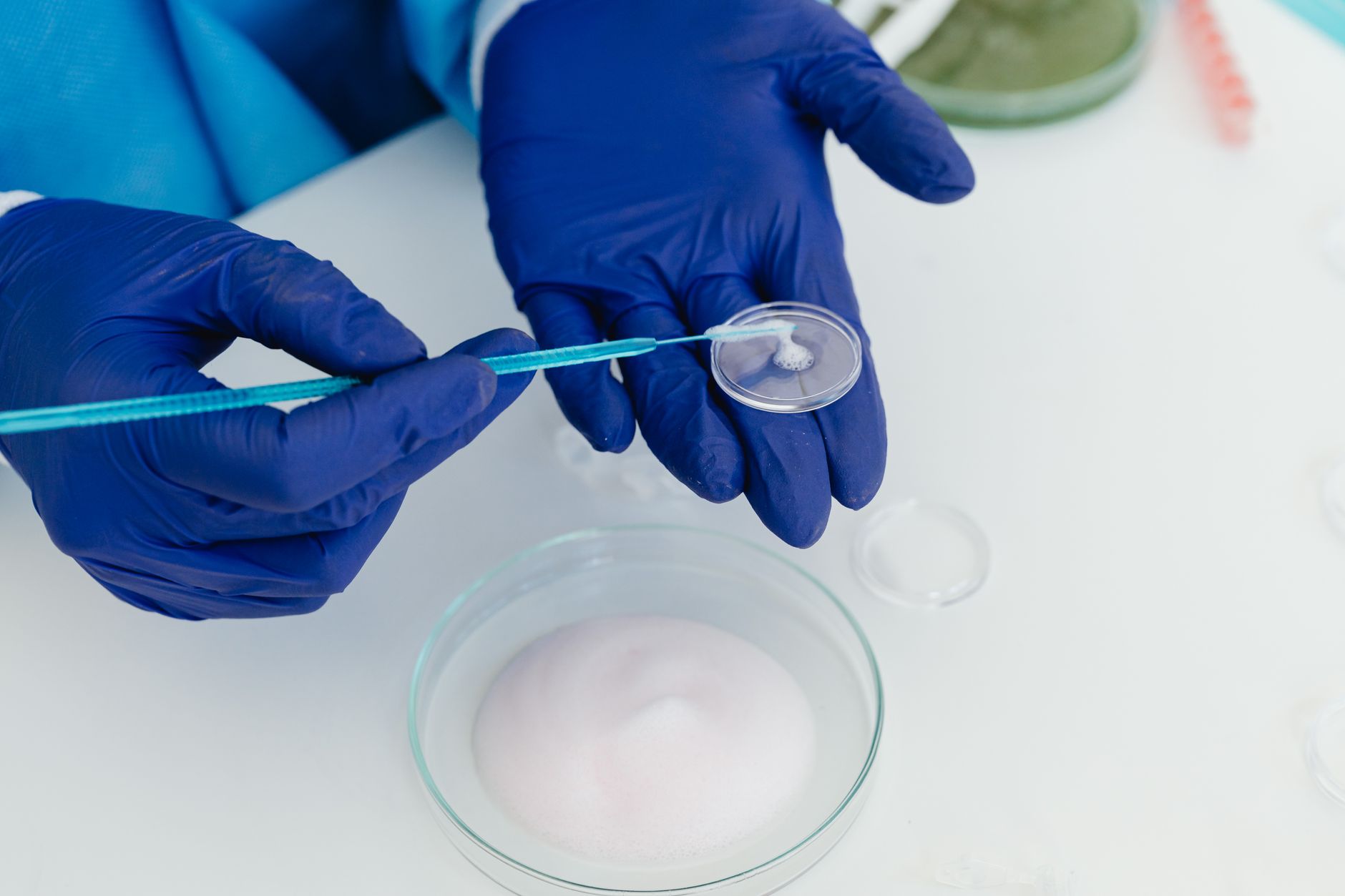 probiotic bacteria laboratory research culture testing