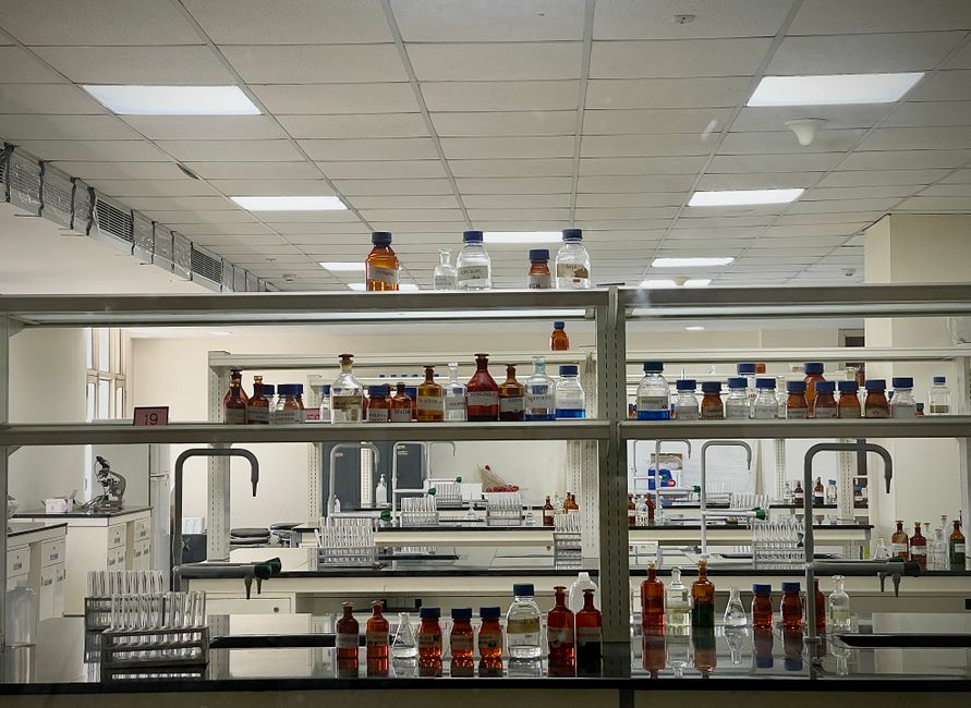 polymer systems used in fast dissolving oral film formulation
